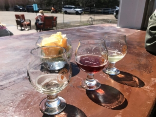 MNBeerBus Photo Gallery